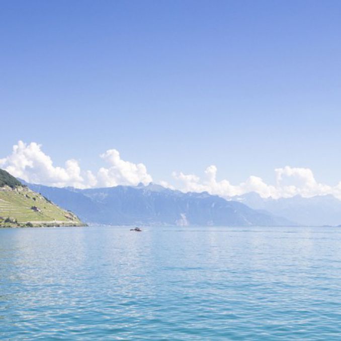 {INFOBULLE_ANNONCES_REGIONARTICLE}