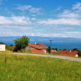 Terrain Neuvecelle VENDU par DE CORDIER IMMOBILIER Evian